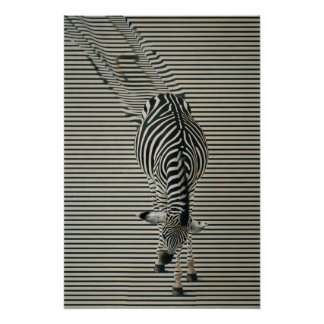 Zebra-Optik Poster | Surrealistische Tierkunst