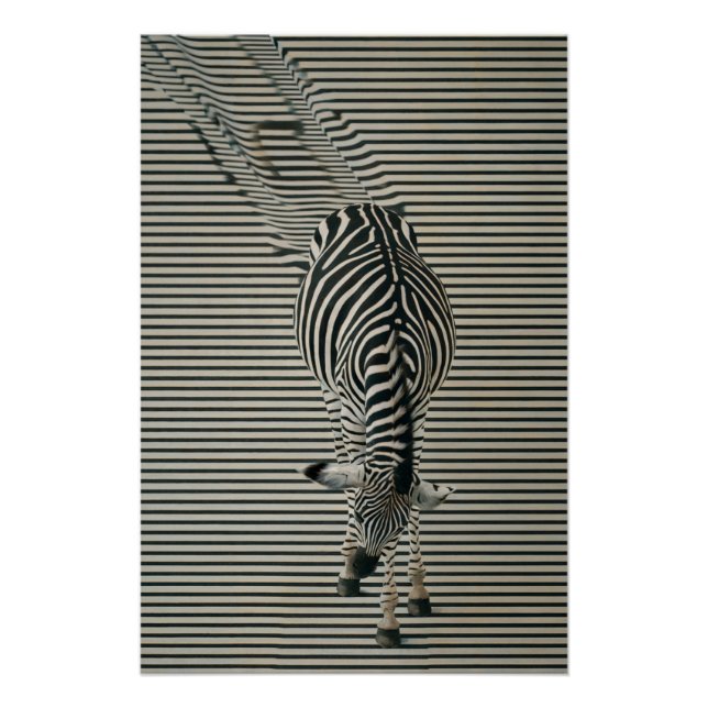 Zebra-Optik Poster | Surrealistische Tierkunst (Anverso)