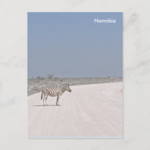 Zebra, postal de Namibia