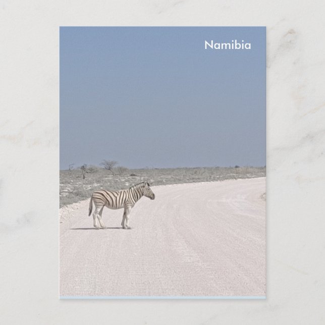 Zebra, postal de Namibia (Anverso)