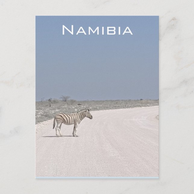Zebra, postal de Namibia (Anverso)