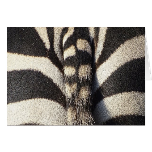 Zebra Tail (Anverso (Horizontal))