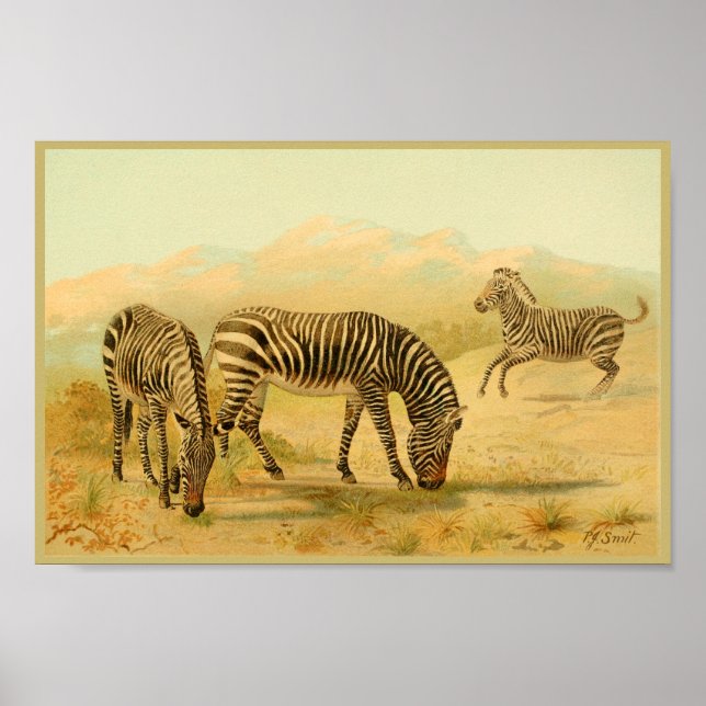 Zebras de arte animal vintage imprimen plantas afr (Frente)