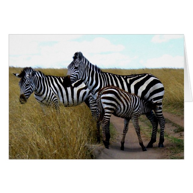ZEBRAS Y BABY ZEBRA (Anverso (Horizontal))