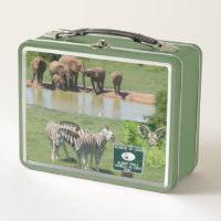 Zebras y leones sudafricanos
