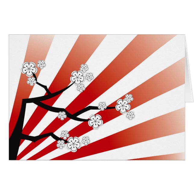 Zen blanco de las flores de las flores de cerezo (Anverso (Horizontal))