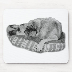 Zen Desk, Alfombra para Perro Lounge