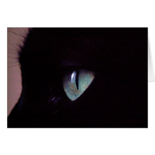 Zen estupendo de la salsa