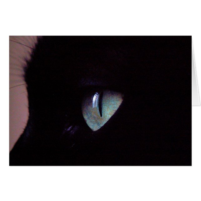 Zen estupendo de la salsa (Anverso (Horizontal))