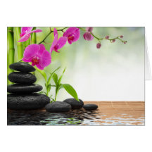 zen, paz, orquídea rosa, hermosa, EPA, curación, y