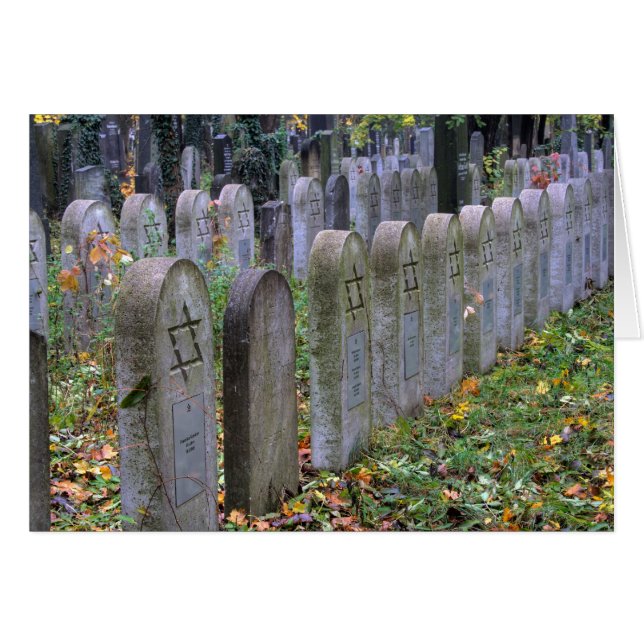 Zentralfriedhof (Anverso (Horizontal))