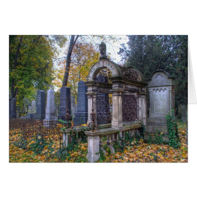 Zentralfriedhof (Anverso (Horizontal))