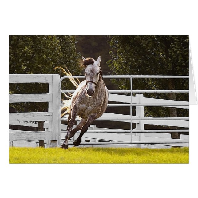 Zest For Life (Anverso (Horizontal))