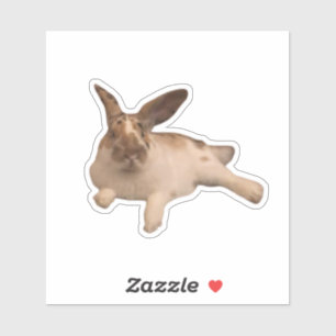 Zesty Paddy Pegatina