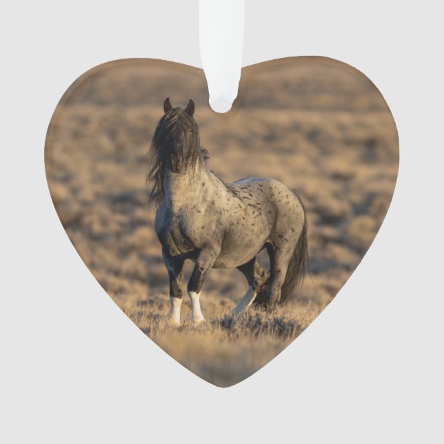 Zeus azul en el adorno de los fogones salvajes del (Anverso)