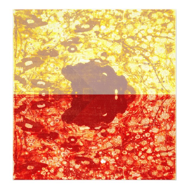 Zhao Chang - Foto de Año Nuevo (modificada) (Frente)