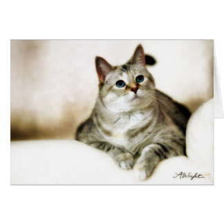 Zilla en los tonos de Brown