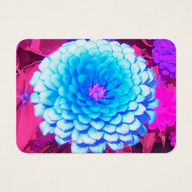 Zinnia azul bonito en el jardín de verano morado (Frente)