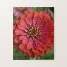 Zinnia roja - rompecabezas floral con caja de rega