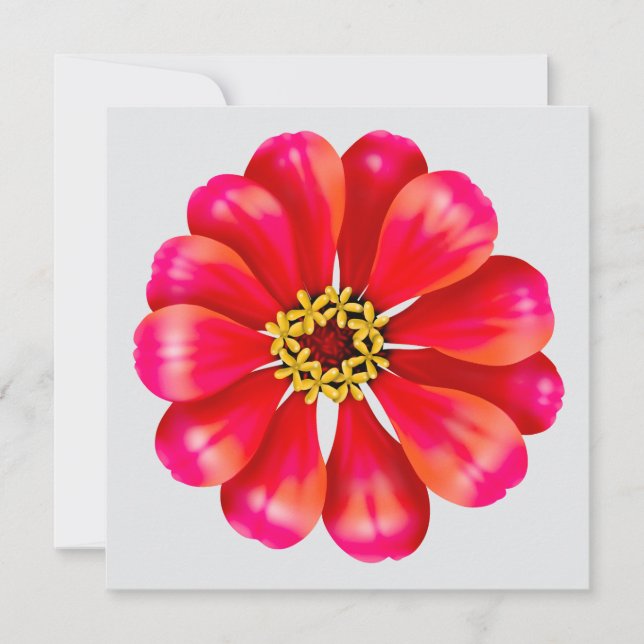 Zinnia rosa (Anverso)