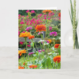 "Zinnias 1." Tarjeta mediana