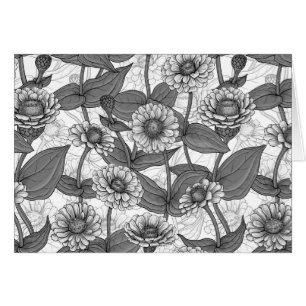 Zinnias, monocromo en blanco