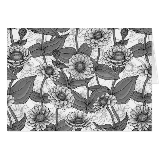 Zinnias, monocromo en blanco (Anverso (Horizontal))