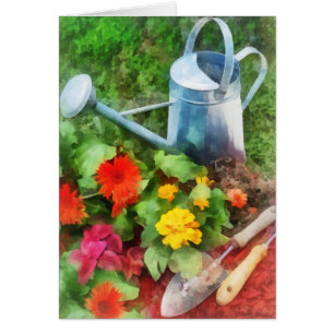 Zinnias y regadera