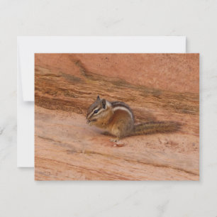 Zion Chipmunk sobre las rocas rojas