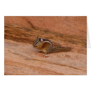 Zion Chipmunk sobre las rocas rojas