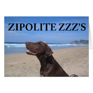 ZIPOLITE ZZZ