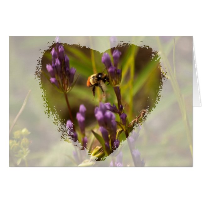 Zippy Bee; sin texto (Anverso (Horizontal))