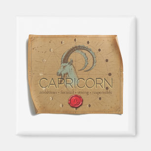 ZODIACO - Capricornio - Imán