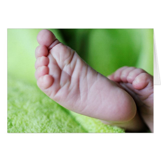 Zoés Feet (Anverso (Horizontal))