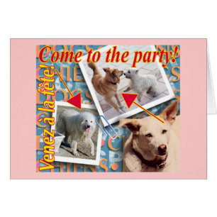 ZoeSPEAK - ¡Ven al fiesta!
