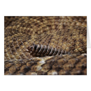 Zoológico de Houston