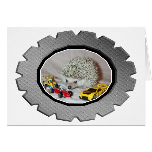 Zoomin' Hedgehog (Anverso (Horizontal))