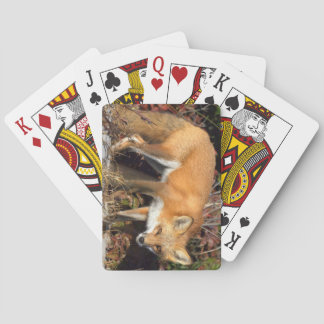 Zorro de cartas de juego