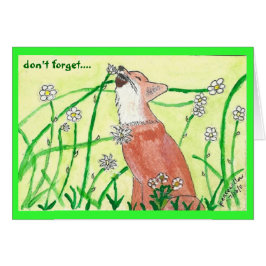 zorro pacífico por el peacewillow