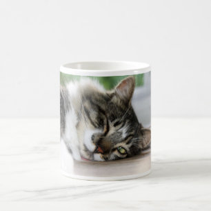 Zorro "pienso que voy a necesitar que taza de ese