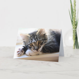 Zorro por la tarjeta de felicitación del espacio