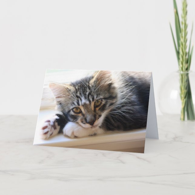 Zorro por la tarjeta de felicitación del espacio (Anverso)