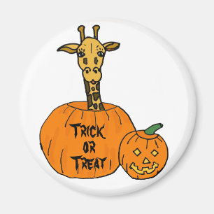 ZZ- jirafa en un imán de Halloween de la calabaza